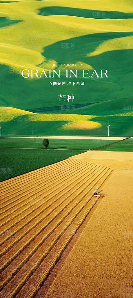 中国传统24节气芒种创意海报