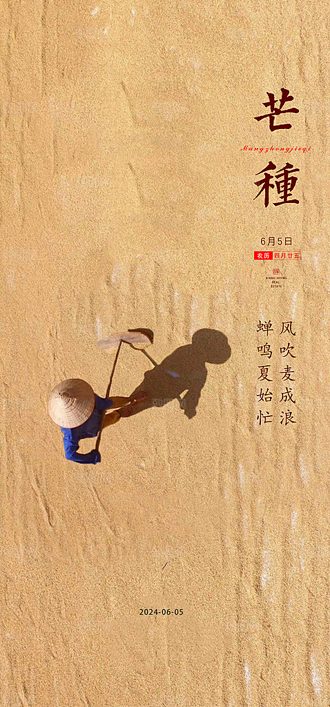 中国传统24节气芒种创意海报