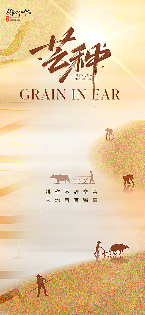 中国传统节气芒种创意海报