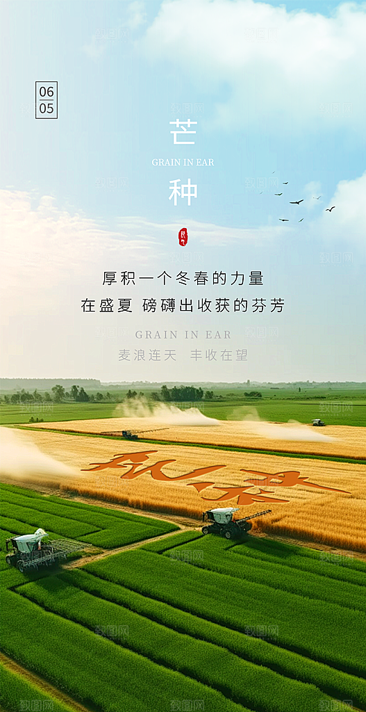 中国传统节气芒种创意海报