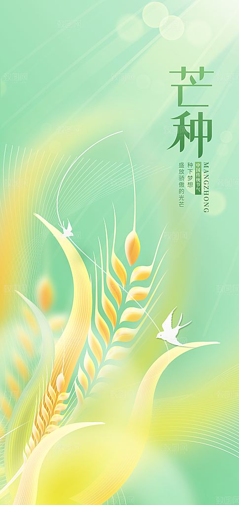 中国传统24节气芒种创意海报