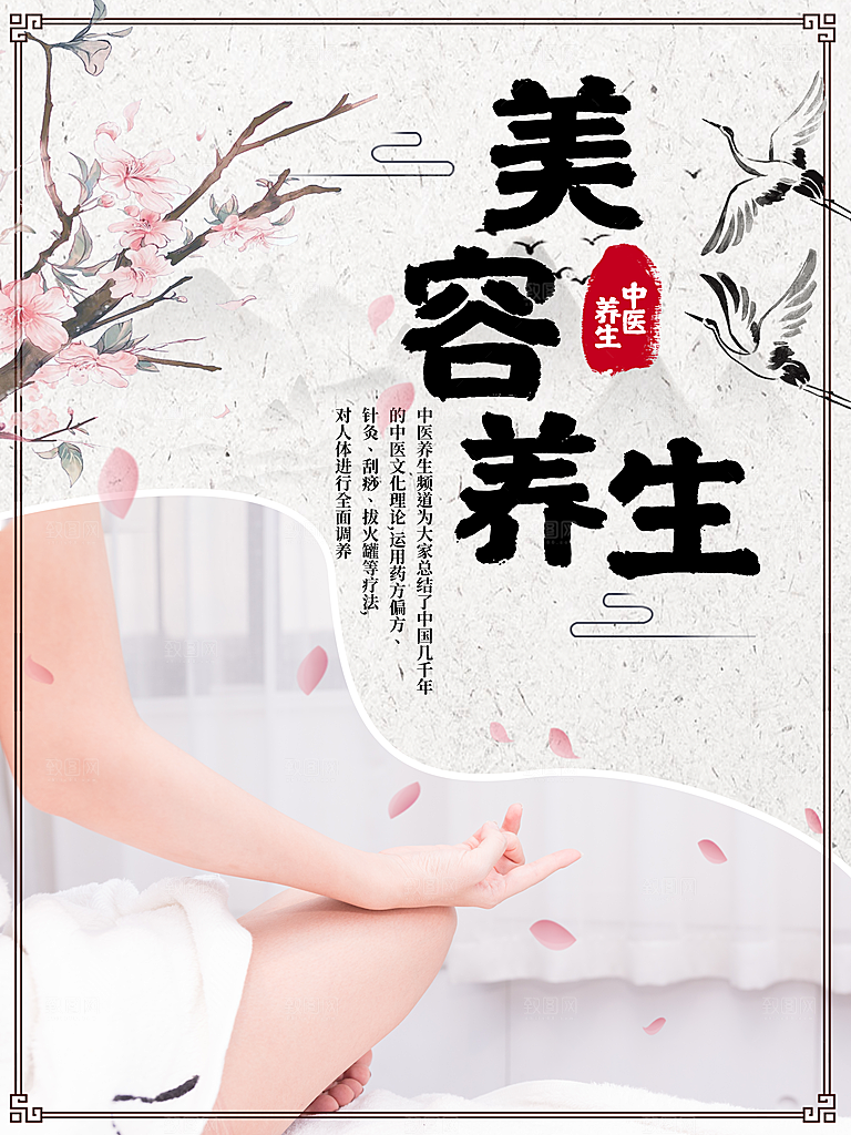 中医美容养生海报