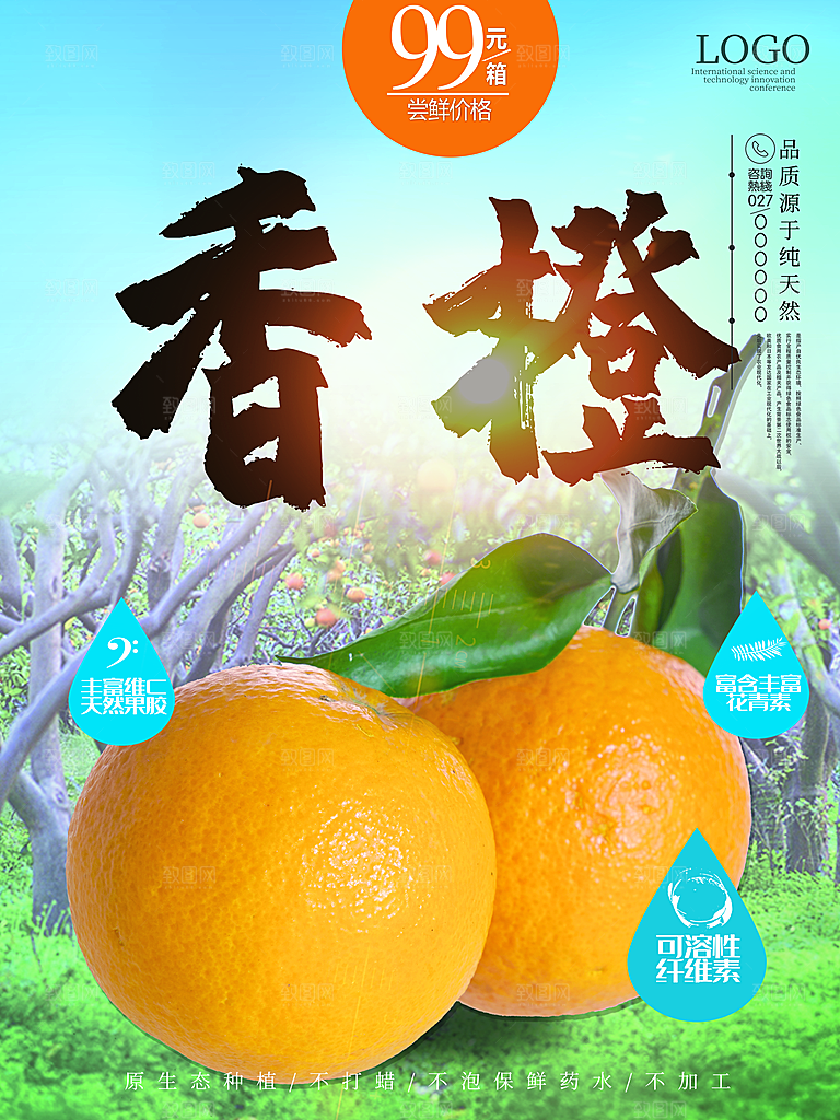 品质源于纯天然香橙