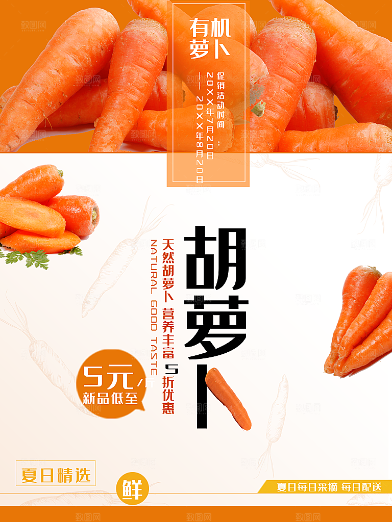 天然营养有机胡萝卜