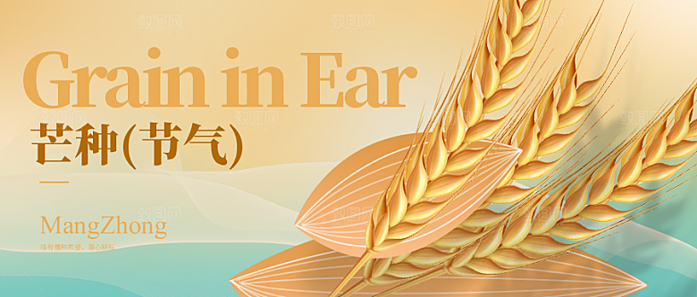 二十四节气芒种微信公众号封面