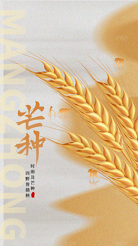 芒种24节气全屏海报设计