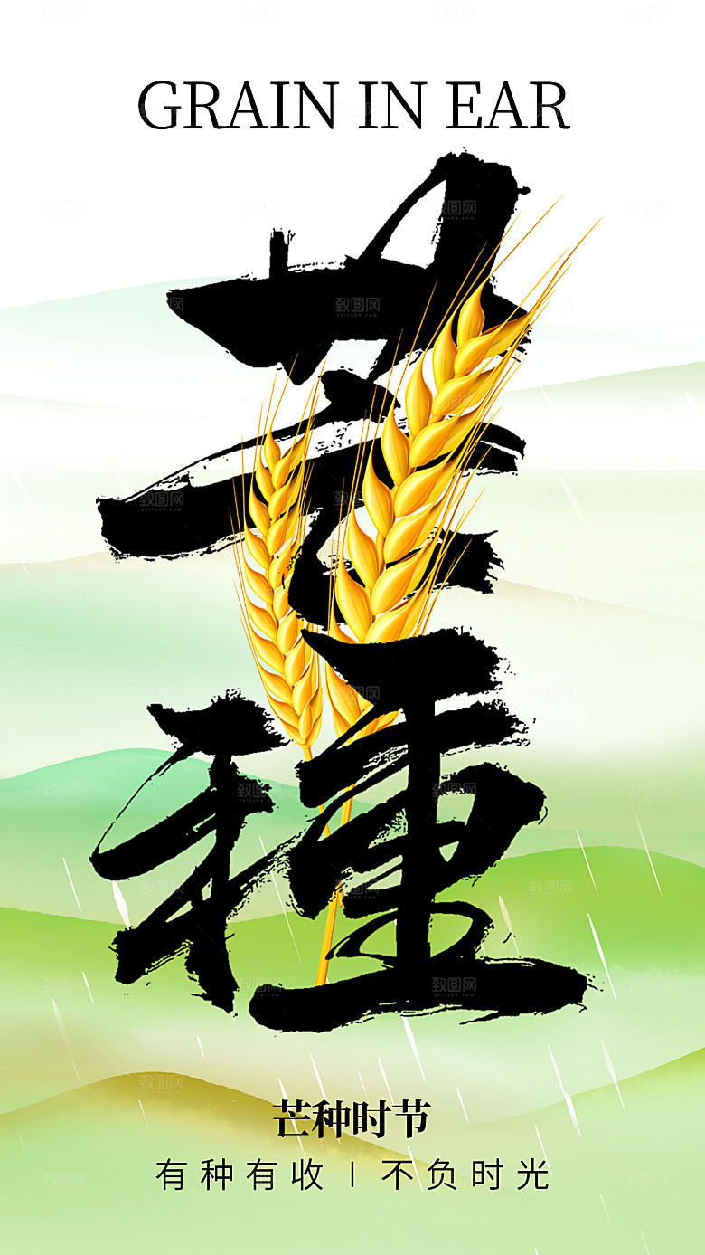 国潮中国风芒种节气全屏海报