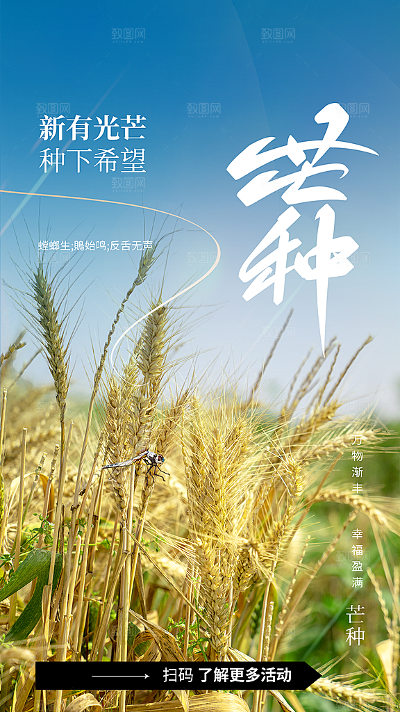 芒种节气传统海报