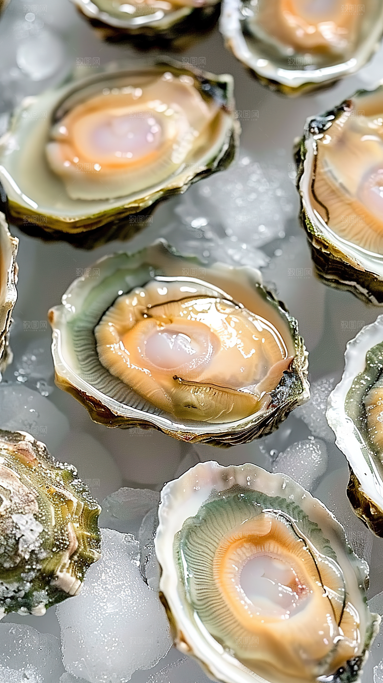 海鲜鲜美鲍鱼海产美食美味烹饪蛋白