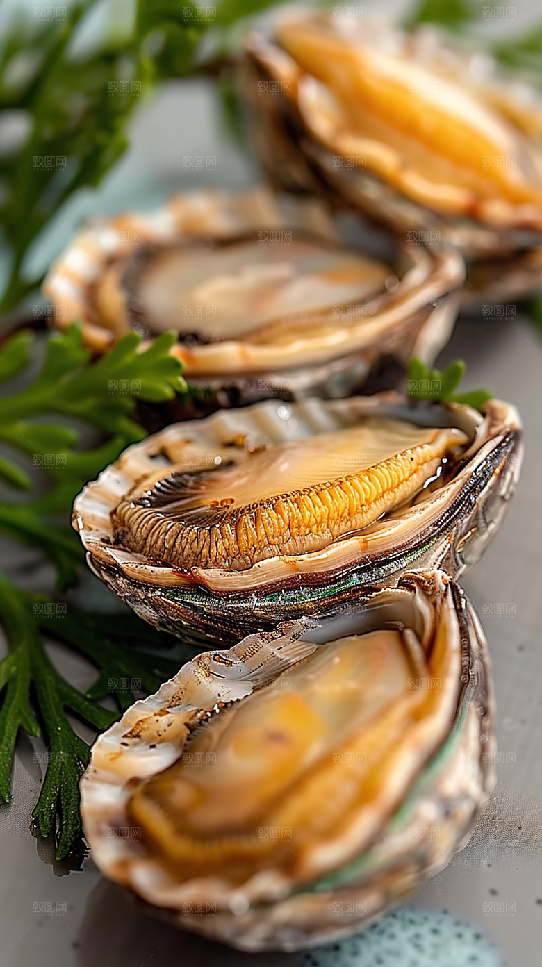 海鲜鲜美鲍鱼海产美食美味烹饪蛋白