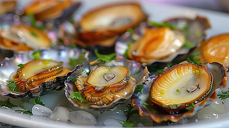 鲜美鲍鱼美味海鲜海产美食蛋白烹饪