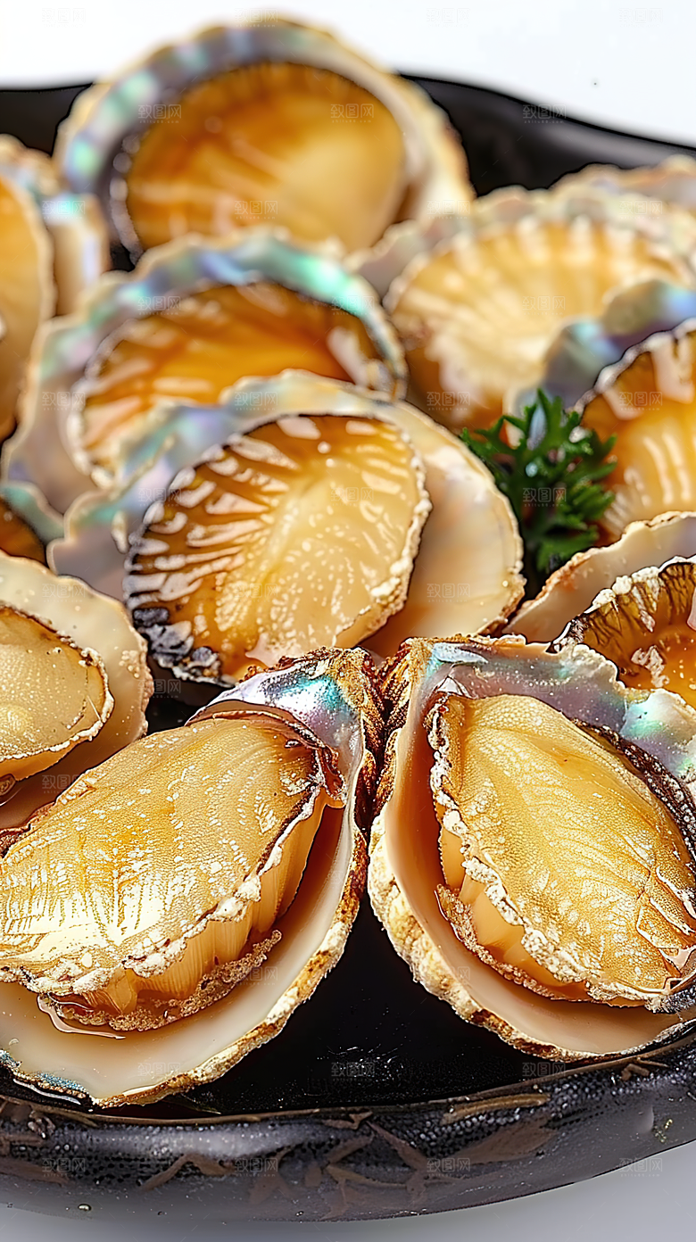 鲜美鲍鱼美味海鲜海产美食蛋白烹饪