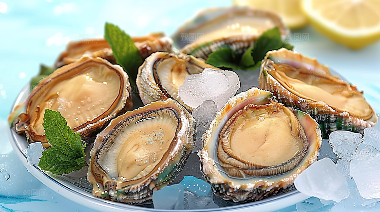 鲜美鲍鱼美味海鲜海产美食蛋白烹饪