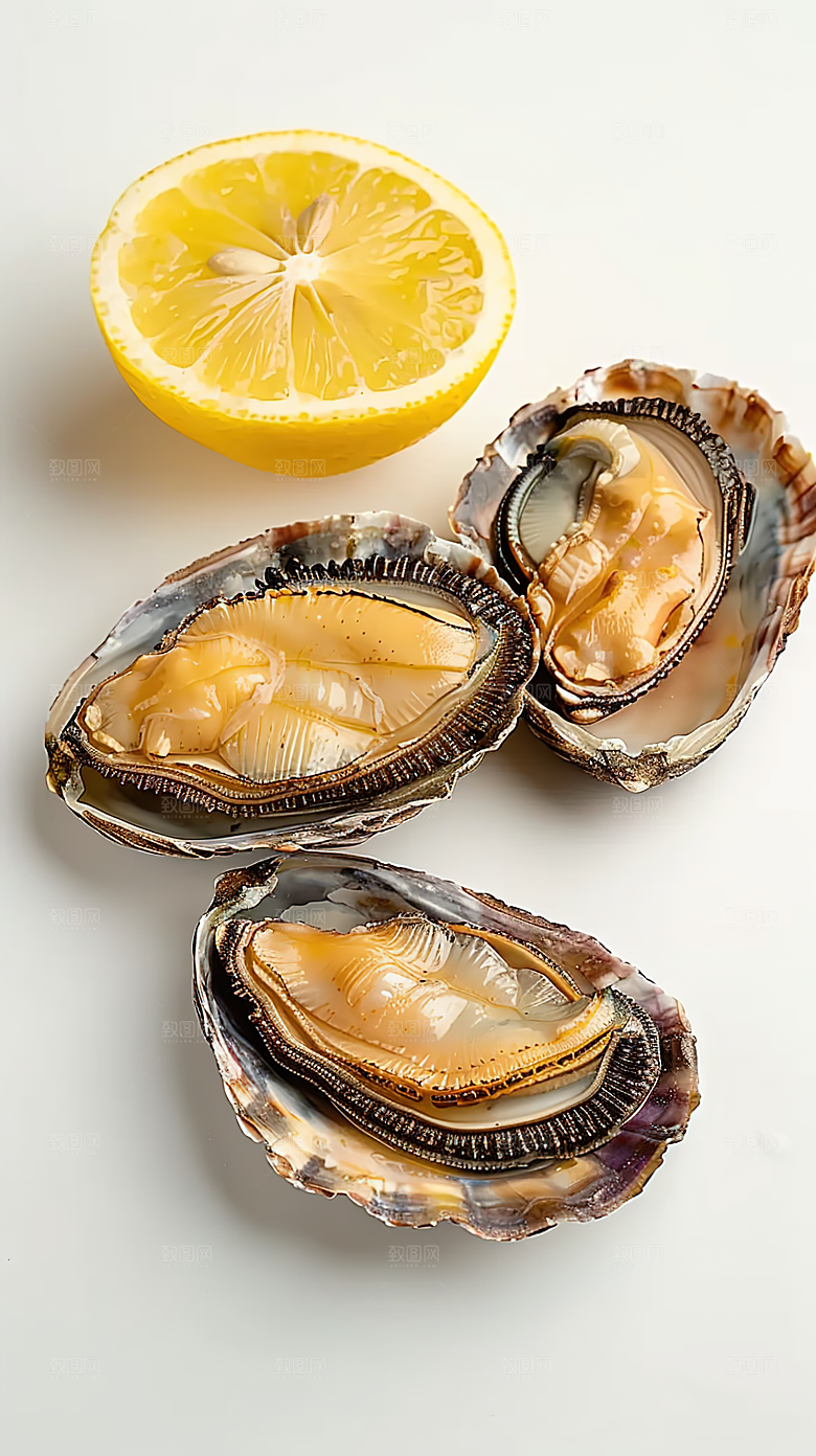 鲍鱼海鲜海产鲜美美食美味