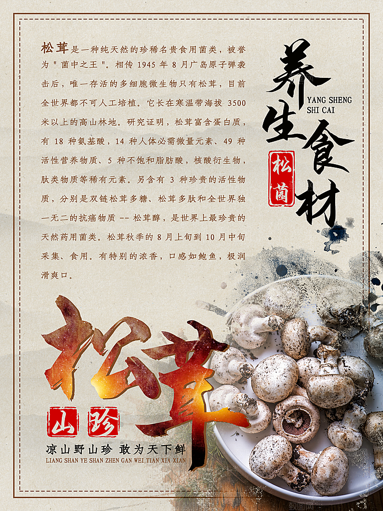 养生食材山珍松茸