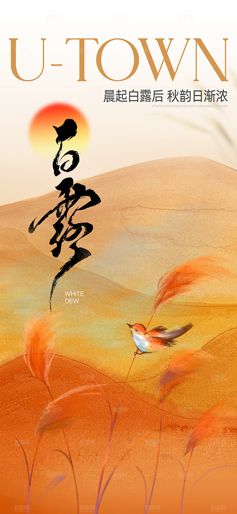 白露二十四节气24节气传统节气