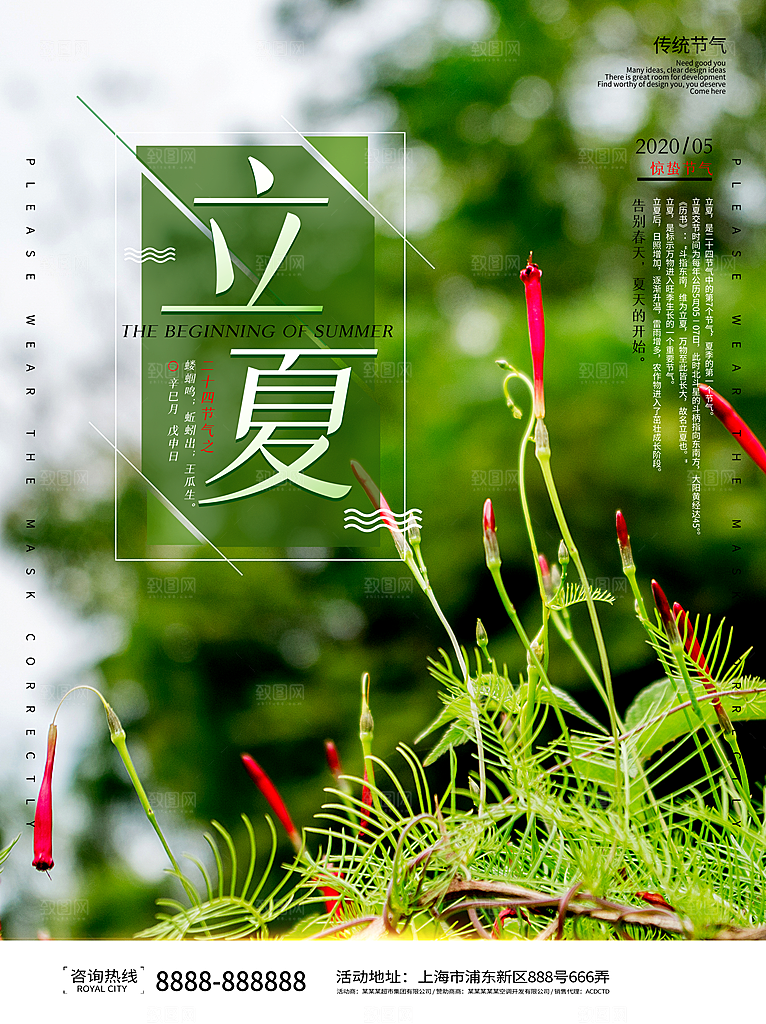 立夏节气简约大气海报