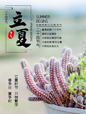 立夏节气简约大气海报
