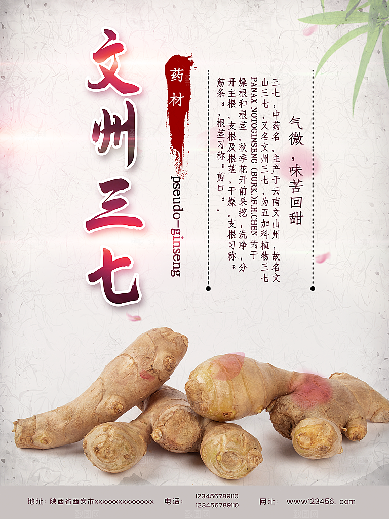 传统药材文州三七