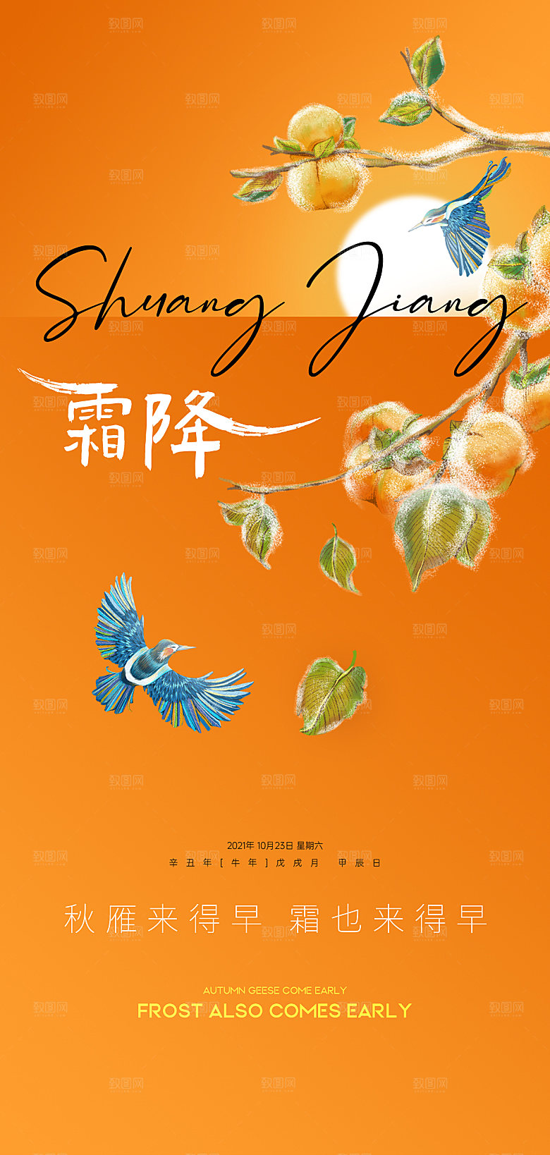 霜降二十四节气 24节气 传统节气