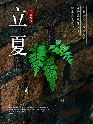 立夏节气简约大气海报
