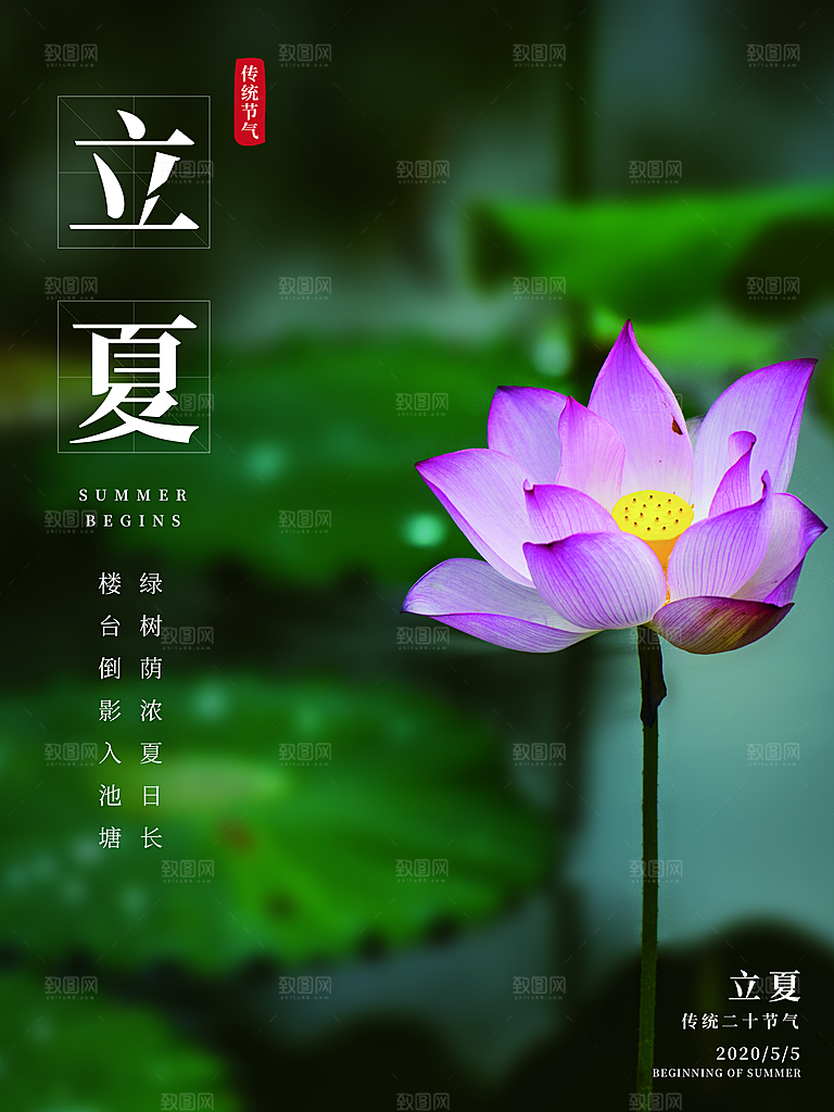 立夏节气简约大气海报