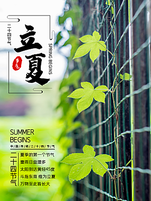 立夏节气简约大气海报