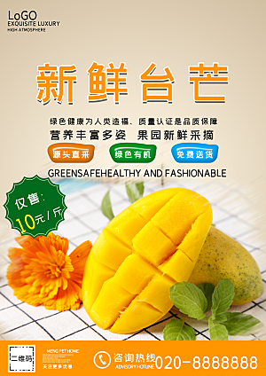 新鲜水果台湾芒果