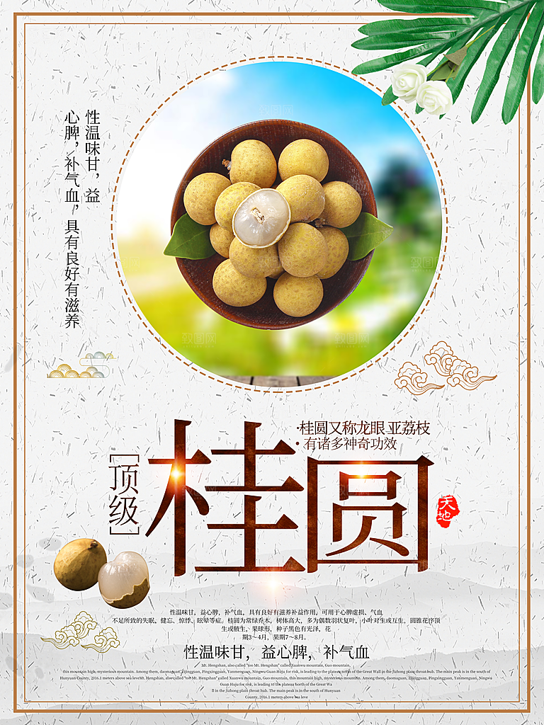 新鲜水果桂圆海报
