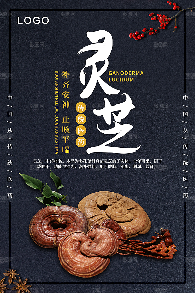 传统中药材珍品灵芝