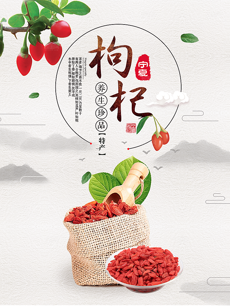养生珍品宁夏枸杞