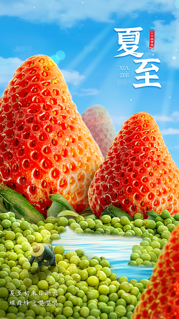 夏至节气宣传海报