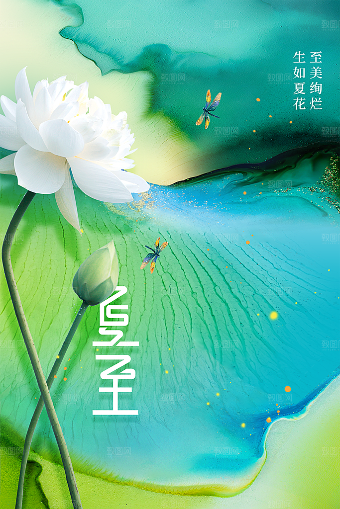 夏至节气传统海报