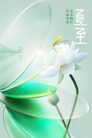 夏至节气传统海报