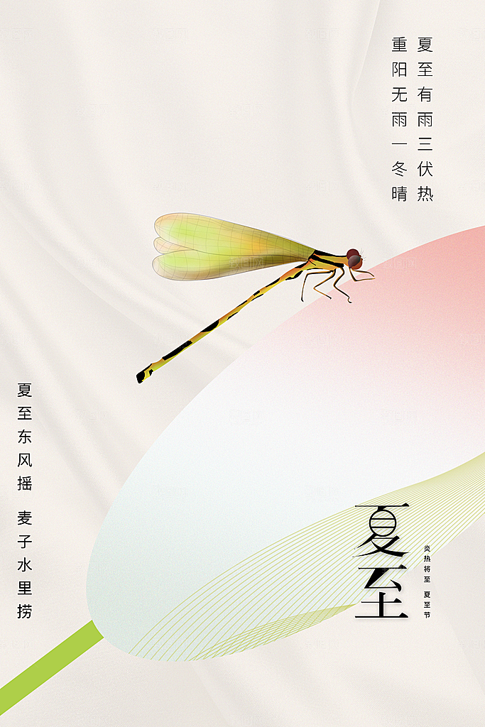 夏至节气传统海报