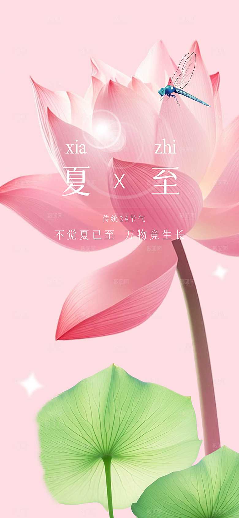 夏至节气传统海报