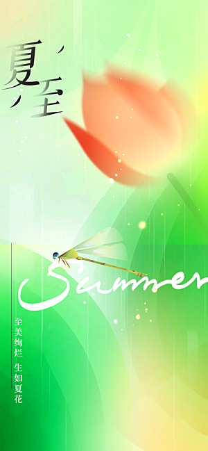 夏至节气传统海报