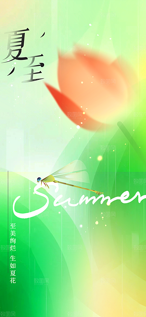 夏至节气传统海报