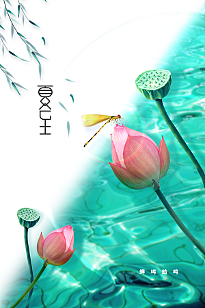 夏至节气传统海报