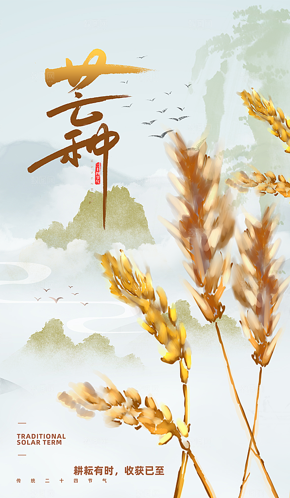 中国传统二十四节气芒种节气海报设计素材