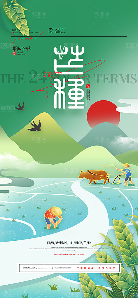 中国传统二十四节气芒种节气海报设计素材