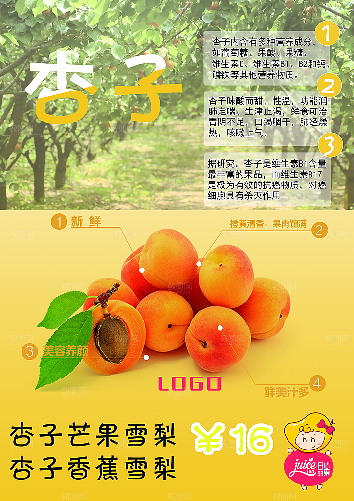 杏子海报设计素材源文件