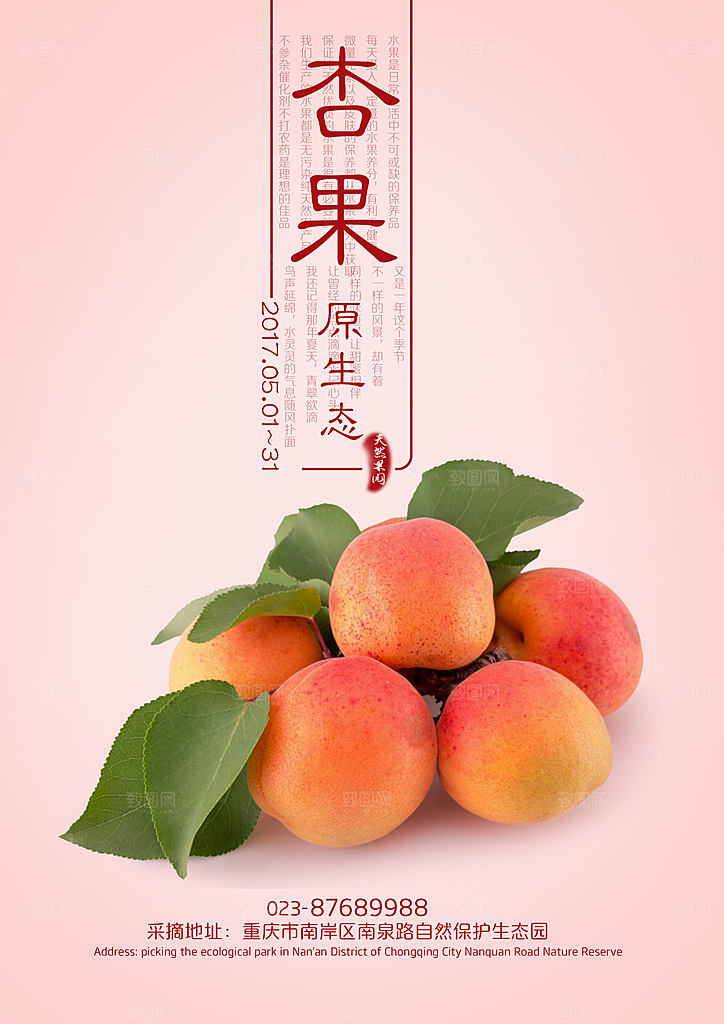 杏子海报设计素材源文件