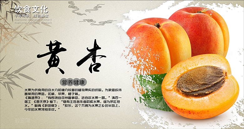 杏子海报设计素材源文件