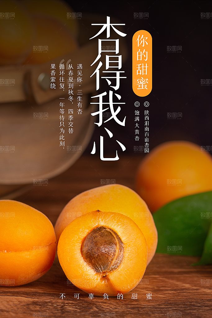 杏子海报设计素材源文件