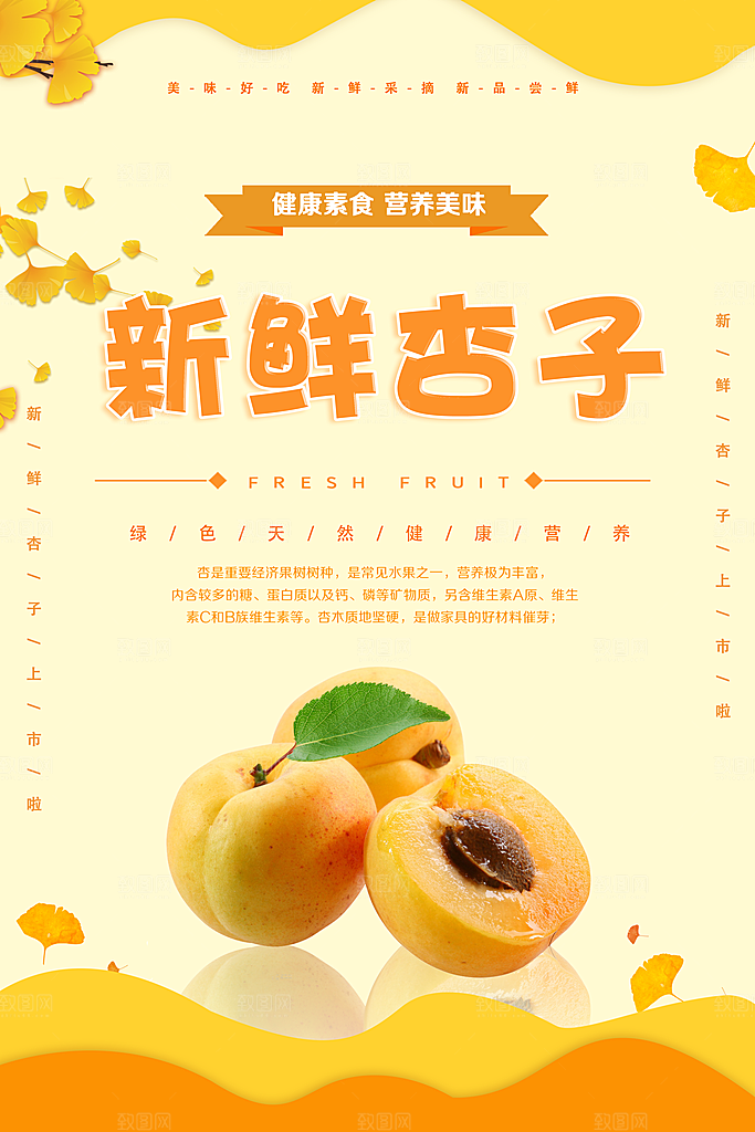 杏子海报设计素材源文件
