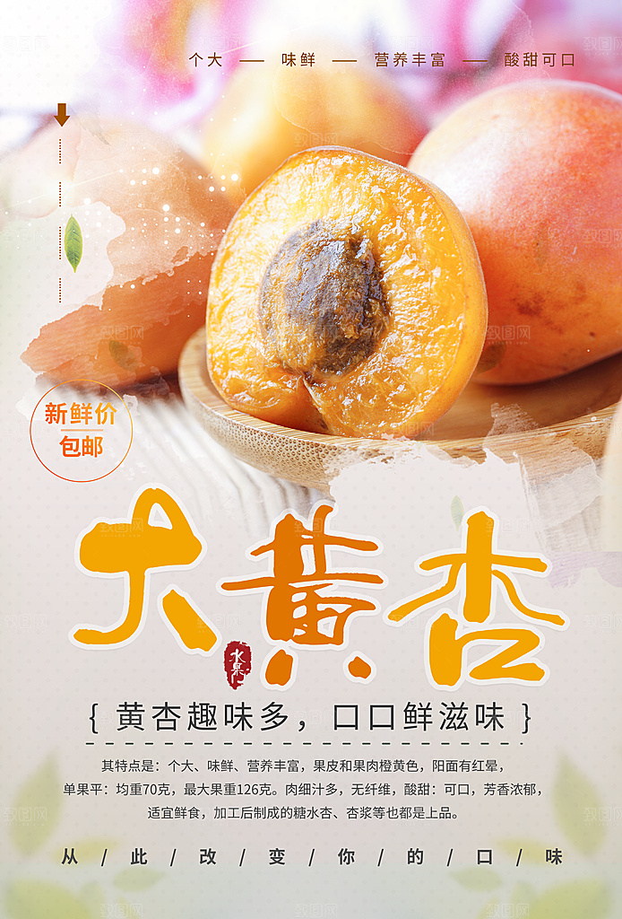 杏子海报设计素材源文件