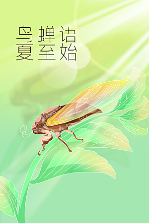 夏至节气传统海报