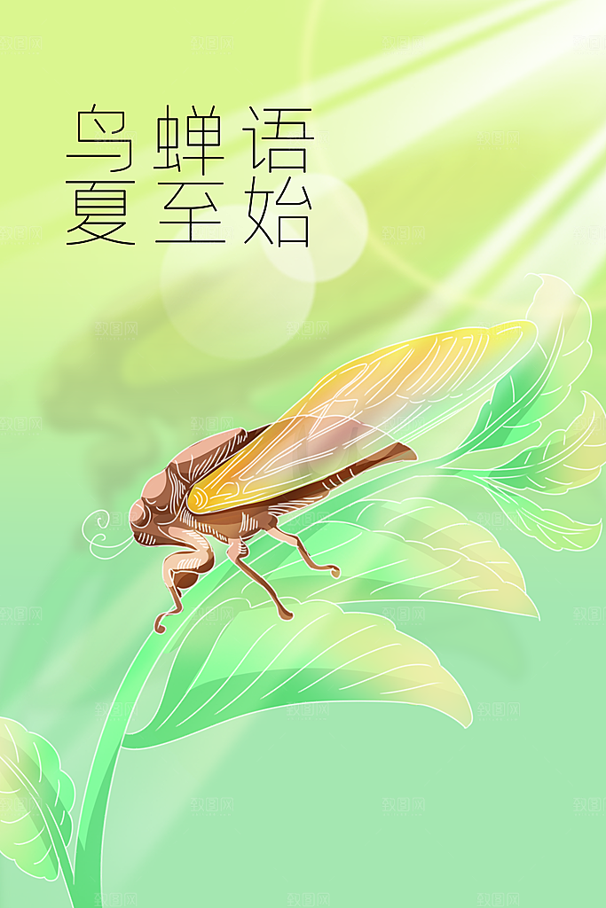 夏至节气传统海报
