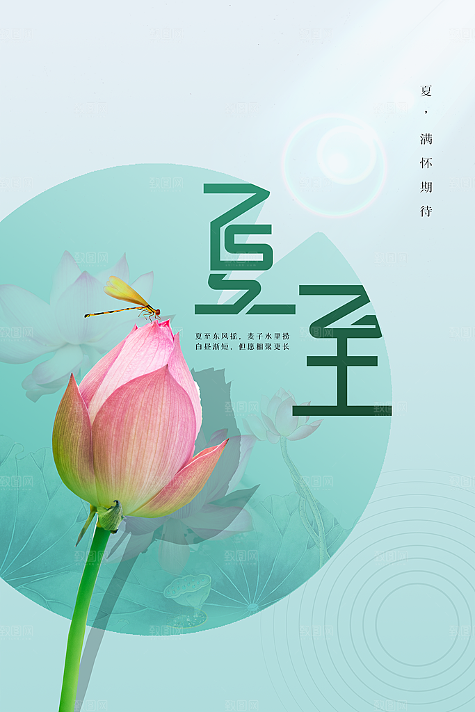 夏至节气传统海报